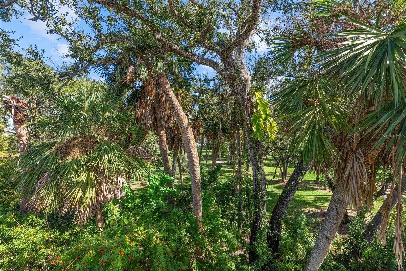 Image 34 of 42 For 504 Wheaton Trent Place