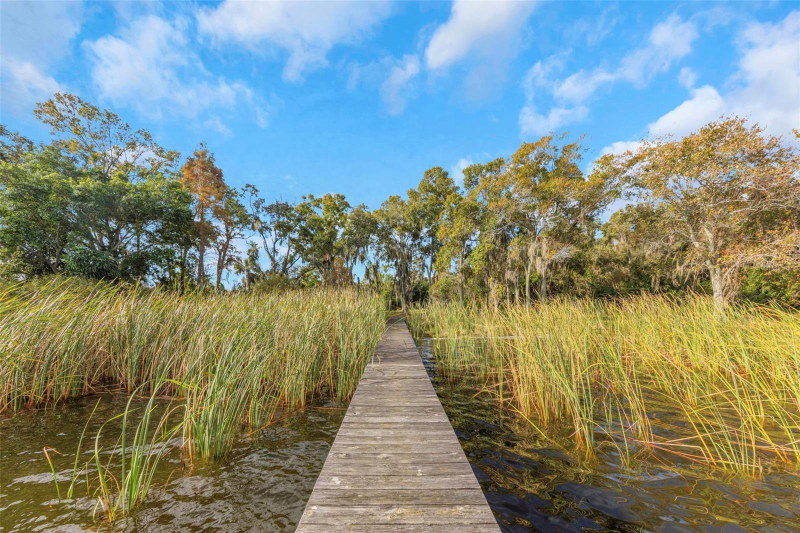 Image 14 of 48 For 2661 Cyprus Drive