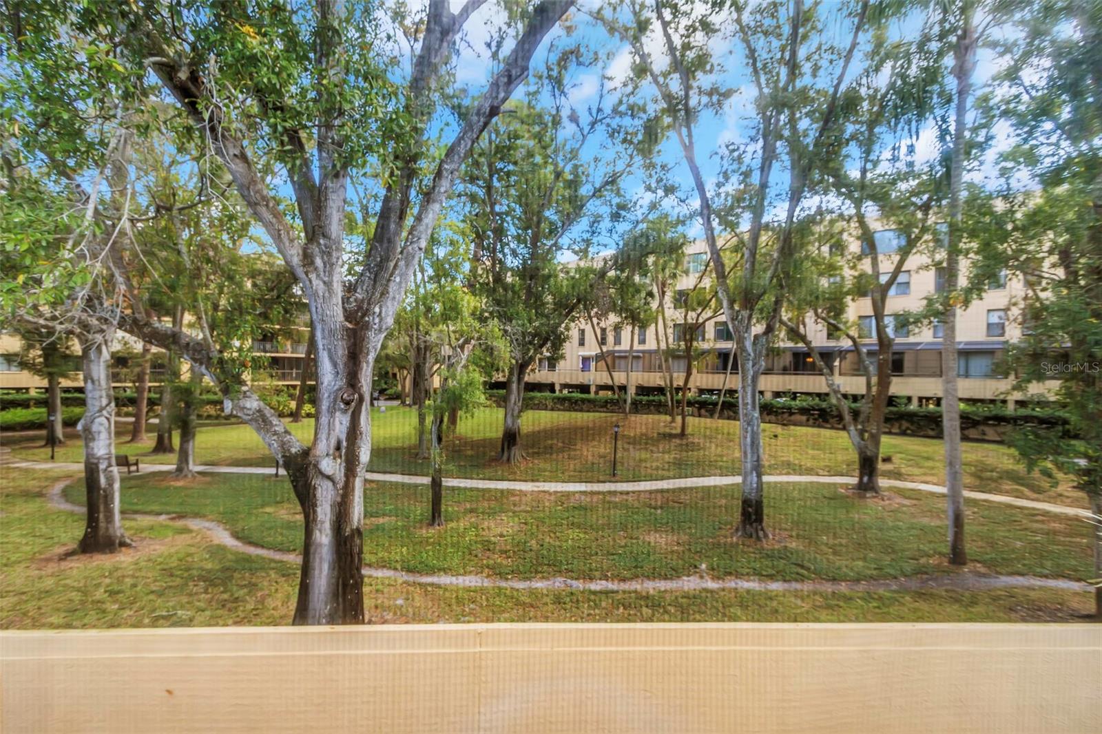 Image 42 of 52 For 3034 Eastland Boulevard D203