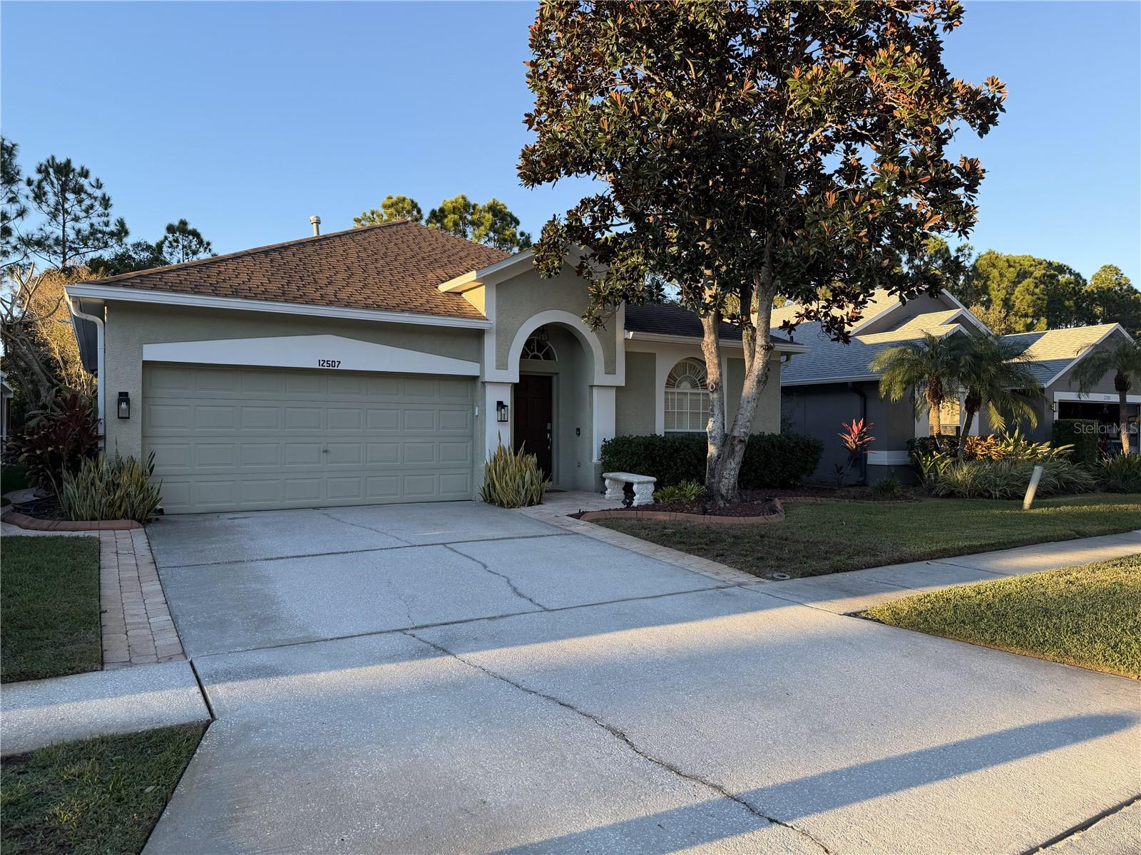 Details for 12507 Blazing Star Drive, TAMPA, FL 33626