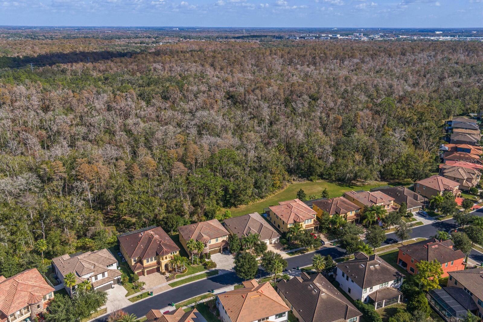 Listing photo id 53 for 2833 Calvano Drive