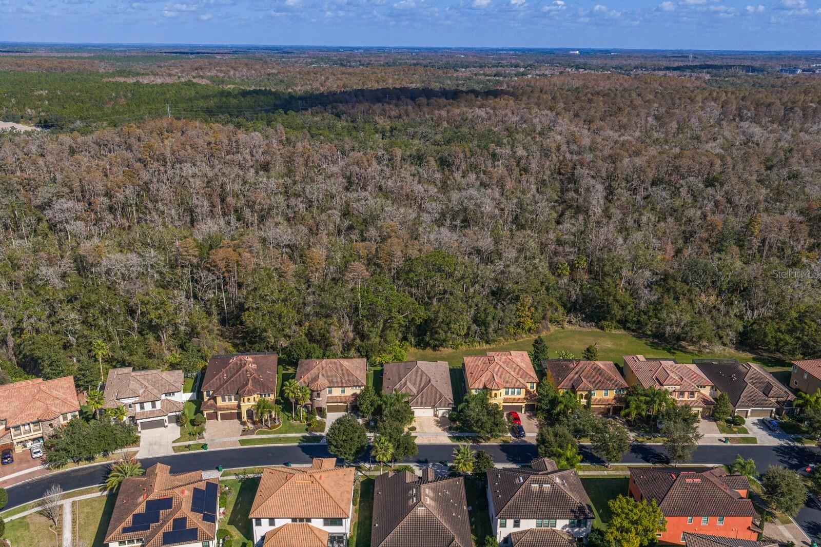 Listing photo id 54 for 2833 Calvano Drive