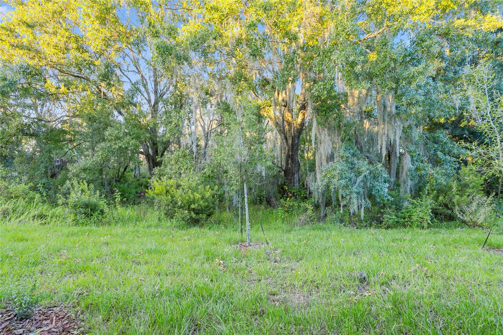 Image 22 of 33 For 32859 Pez Landing Lane