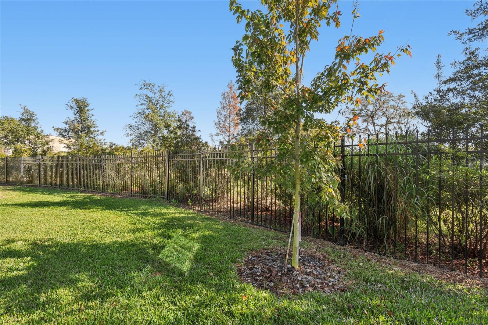 Image 64 of 70 For 345 Villa Corte Drive