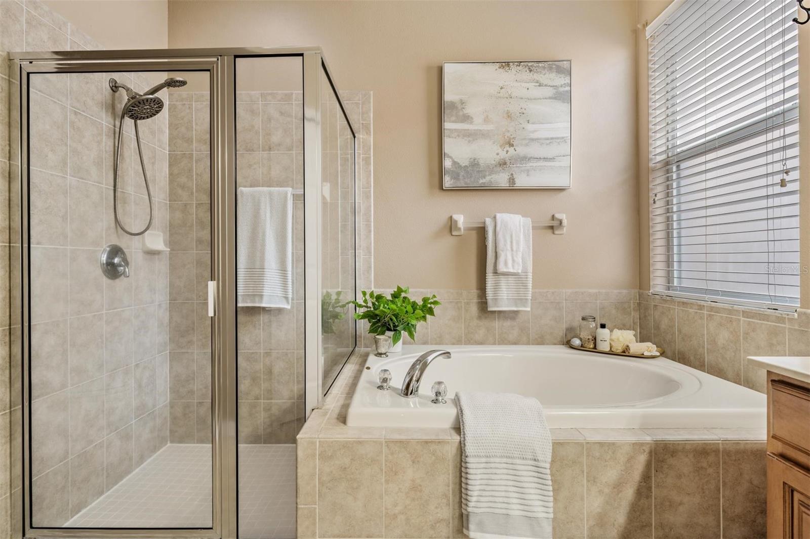 Image 26 of 53 For 15415 Dakota Sky Place