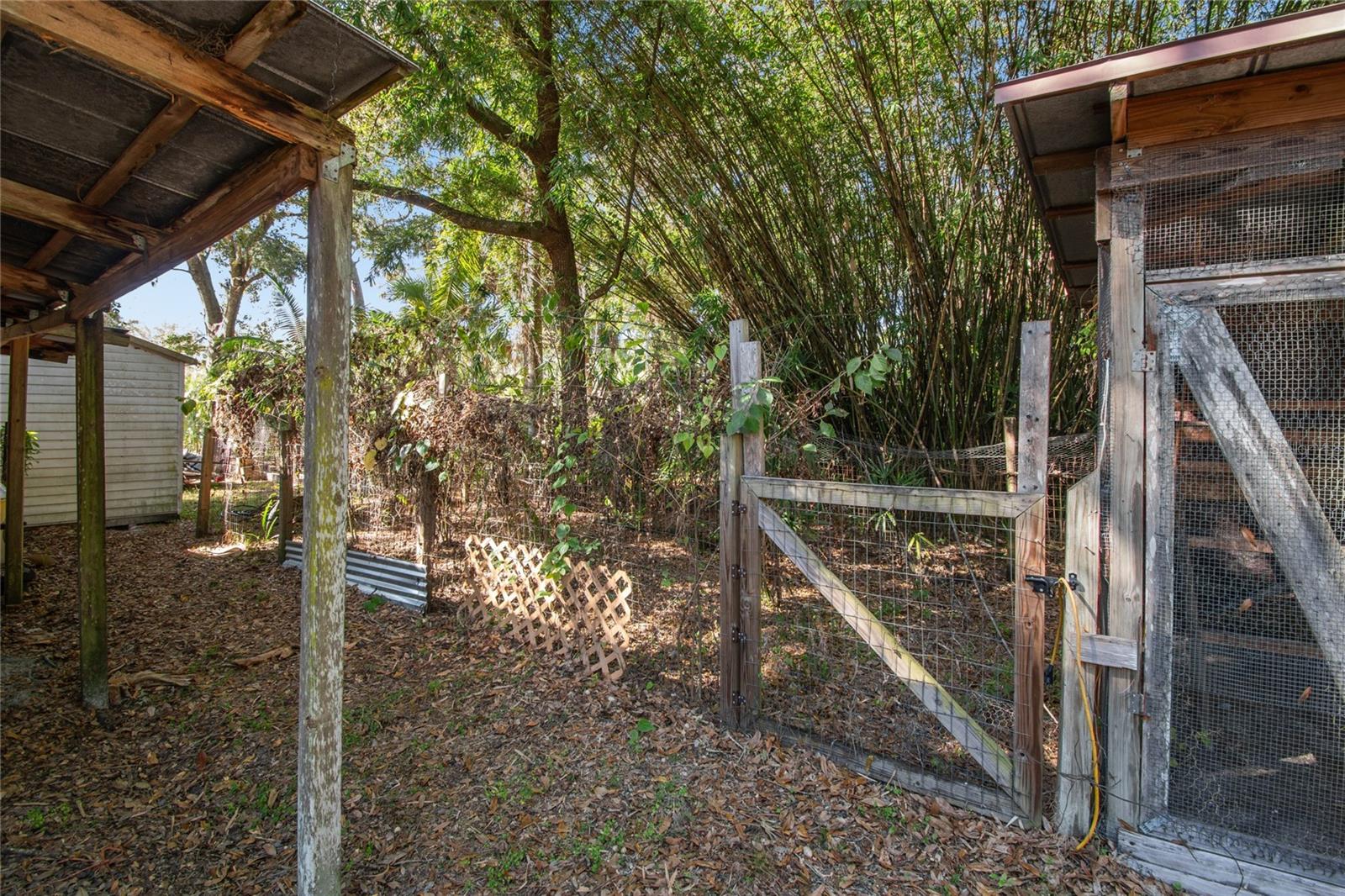 Listing photo id 19 for 17641 Deerfield Drive