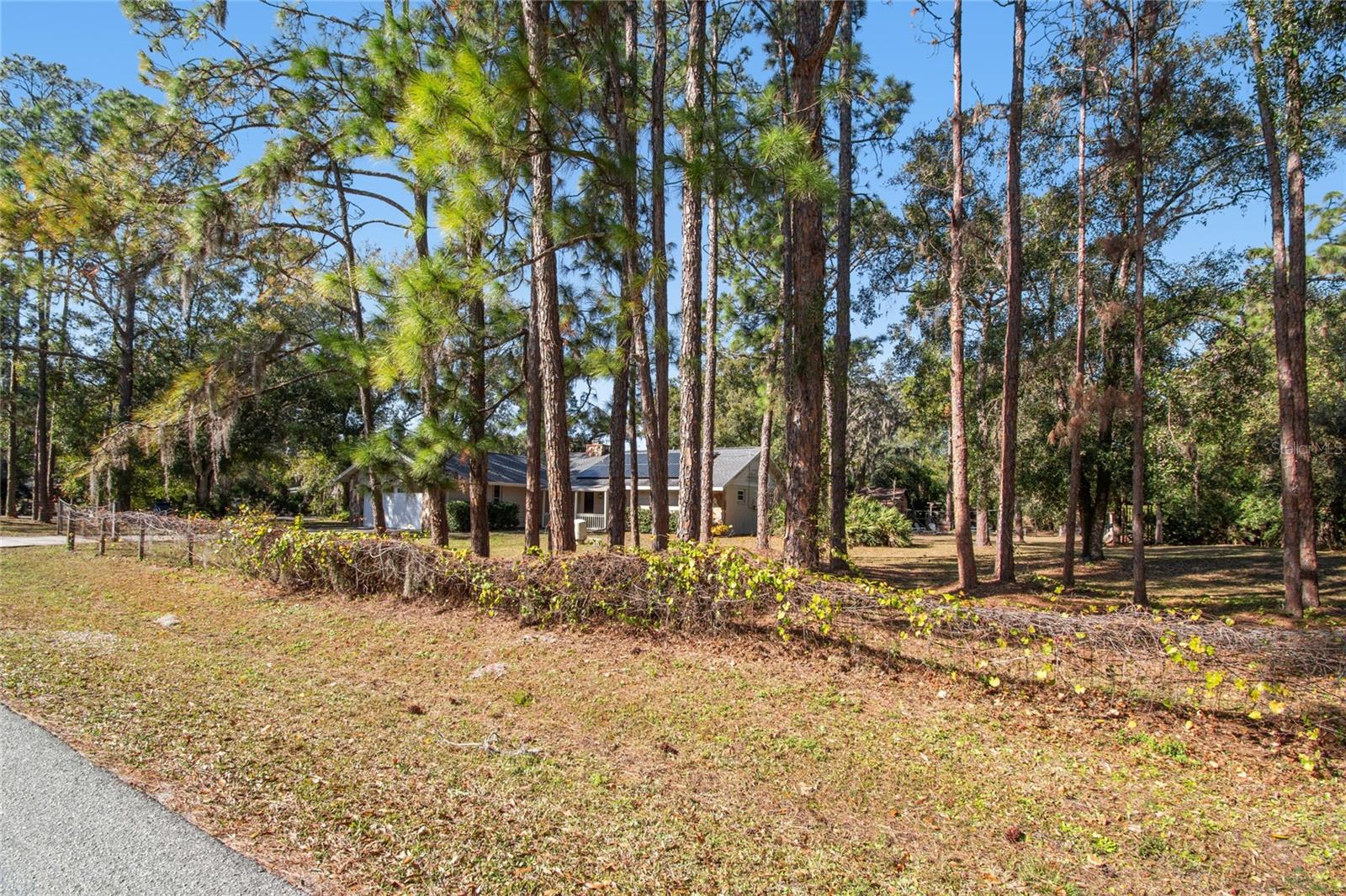 Listing photo id 25 for 17641 Deerfield Drive