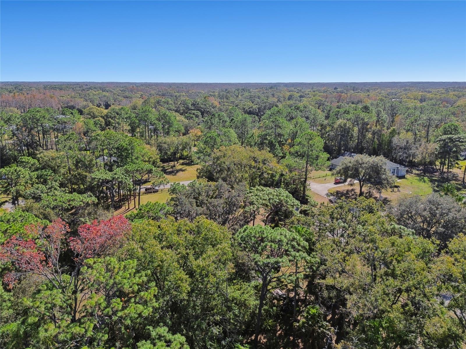 Listing photo id 88 for 17641 Deerfield Drive