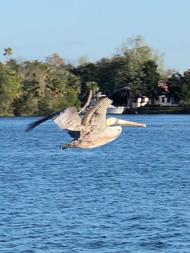 Image 61 of 61 For 11006 Cove Harbor Drive 16