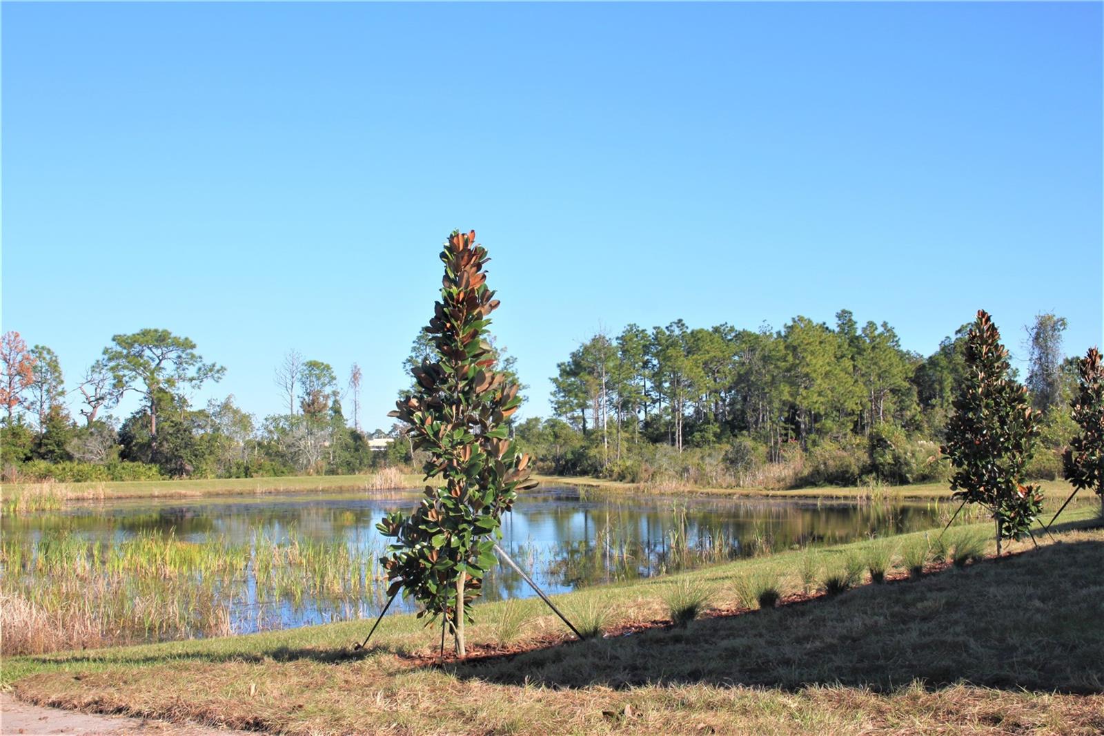 Image 22 of 23 For 9077 Shadyside Lane