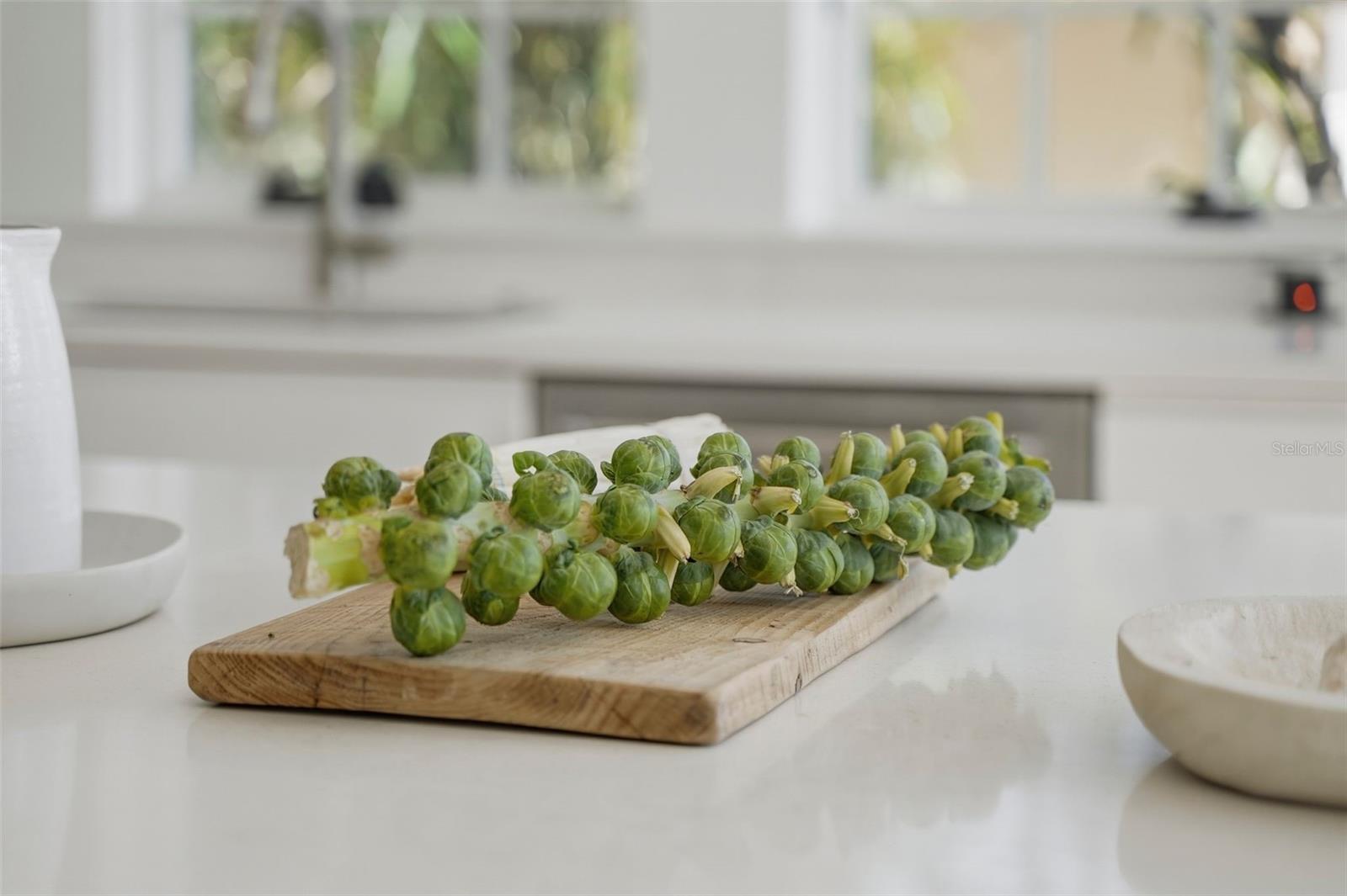 Image 17 of 49 For 246 19th Ave Ne