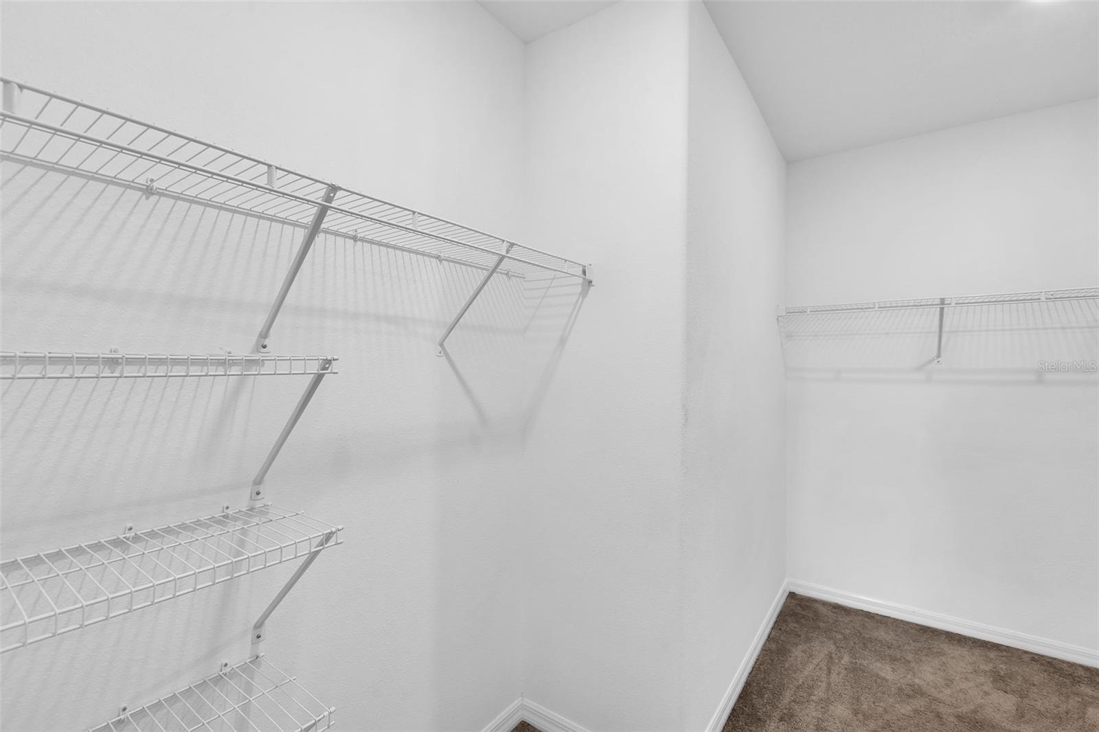 Image 23 of 57 For 5204 White Chicory Drive