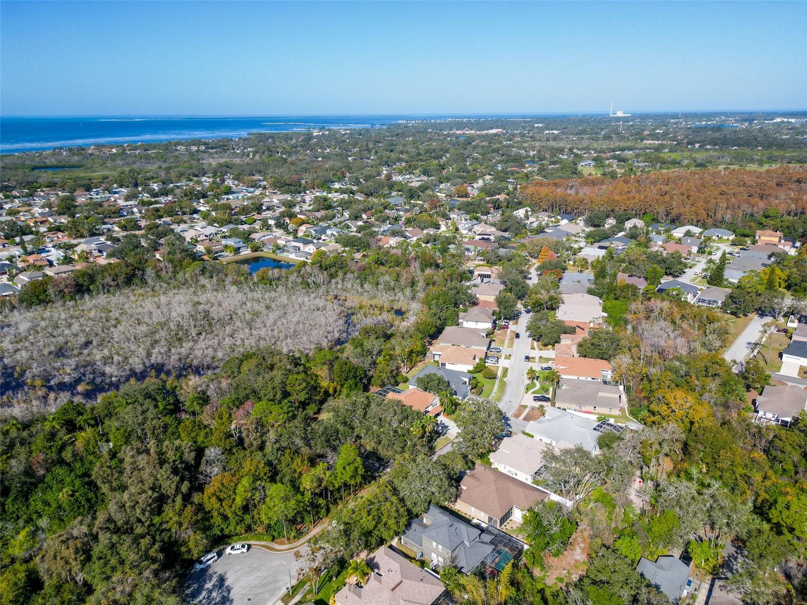 Image 5 of 77 For 1858 Longview Ln