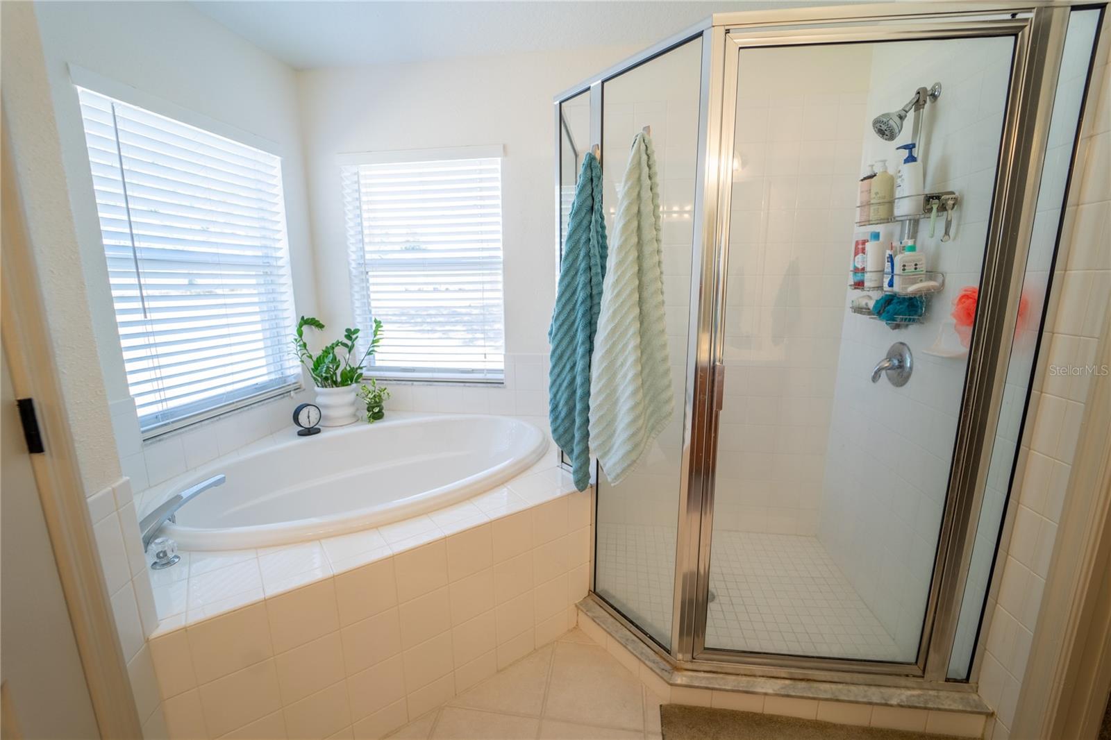 Image 11 of 46 For 4309 Balington Drive