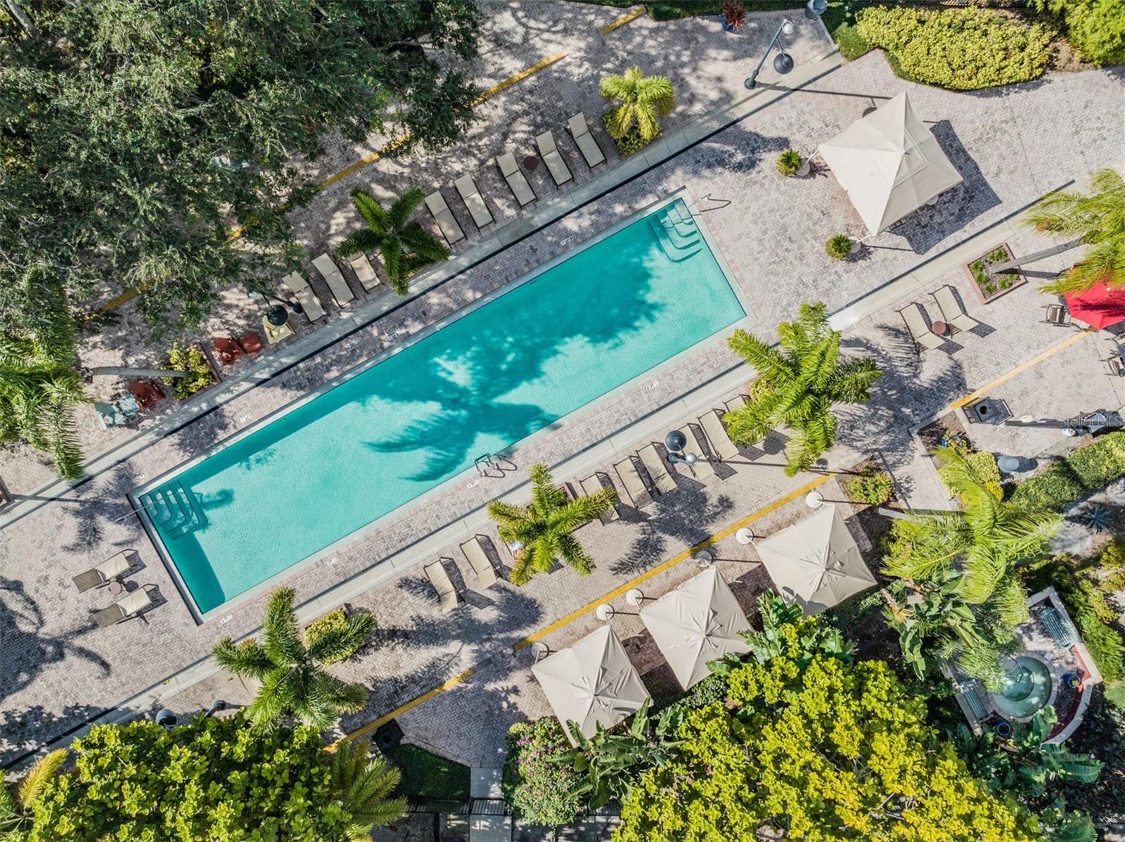 Image 34 of 38 For 2410 Azeele Street 220