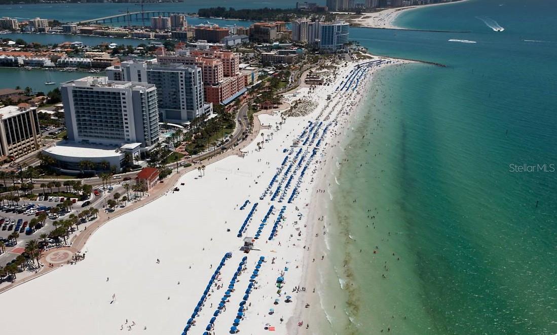 Listing photo id 49 for 1469 Young Avenue