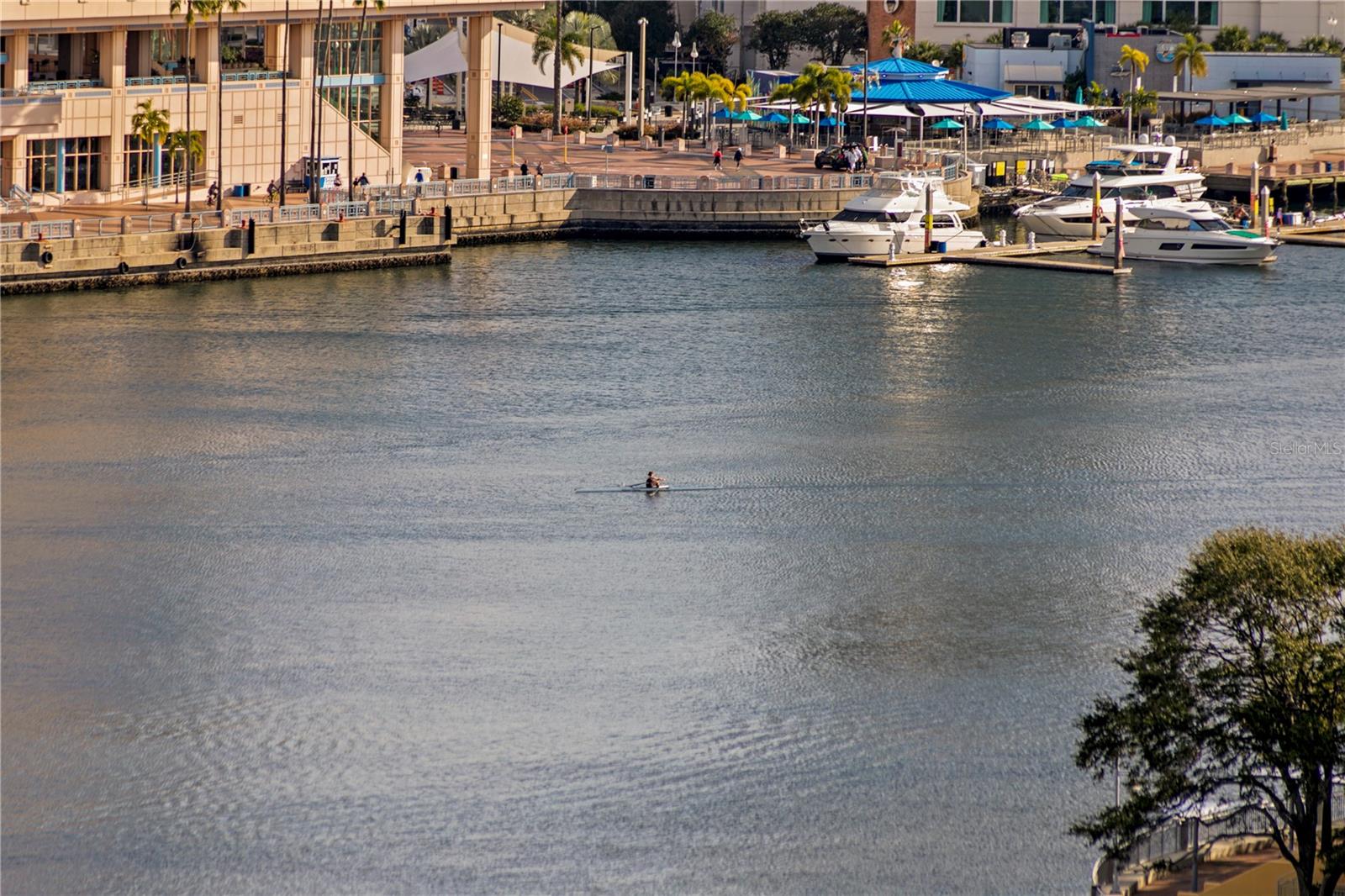 Image 30 of 51 For 345 Bayshore Boulevard 1512