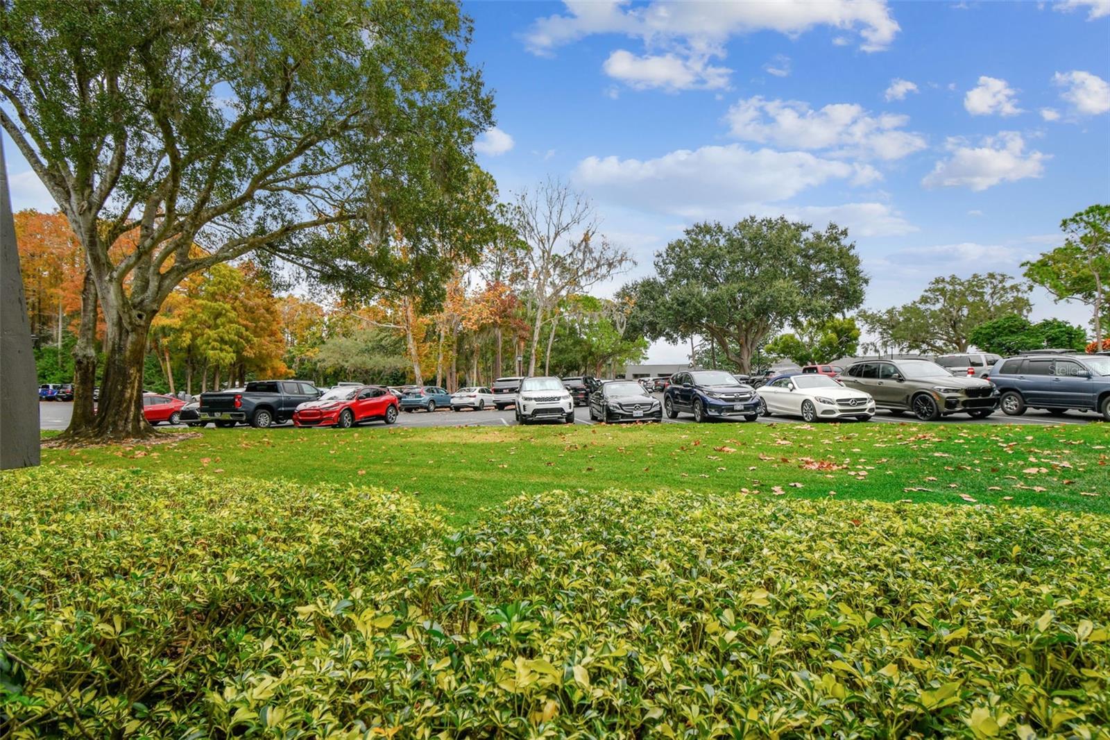 Image 30 of 57 For 36750 Us Highway 19 N 03106