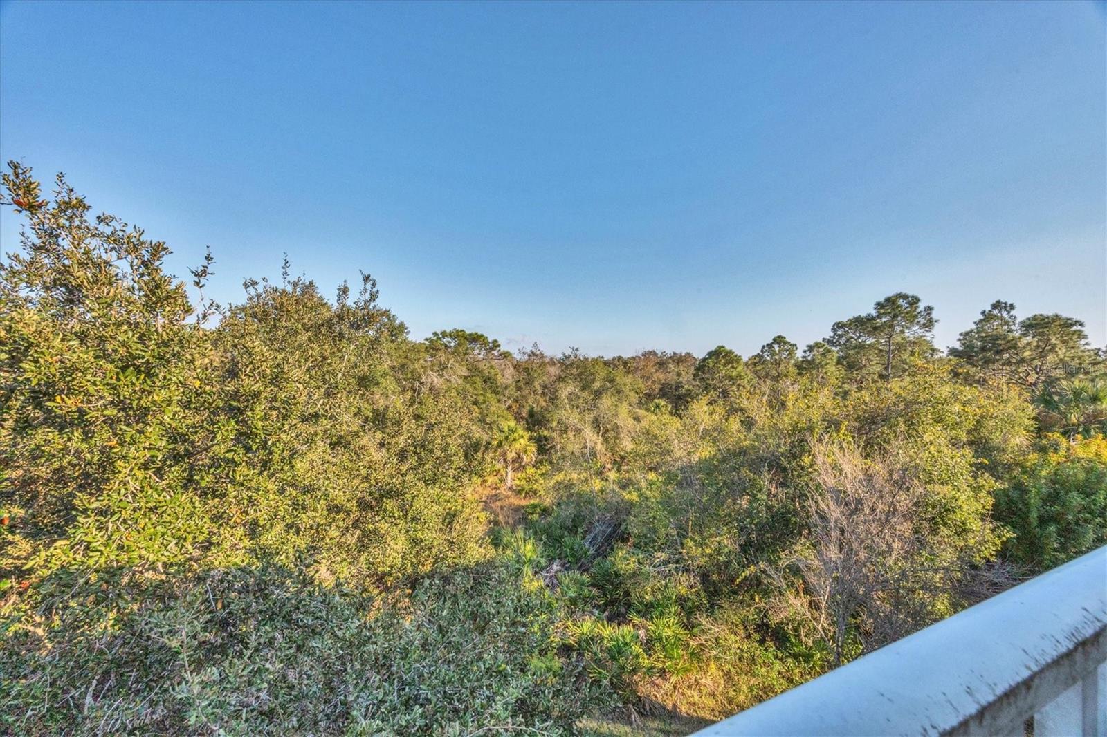 Image 28 of 40 For 8944 White Sage Loop 3204