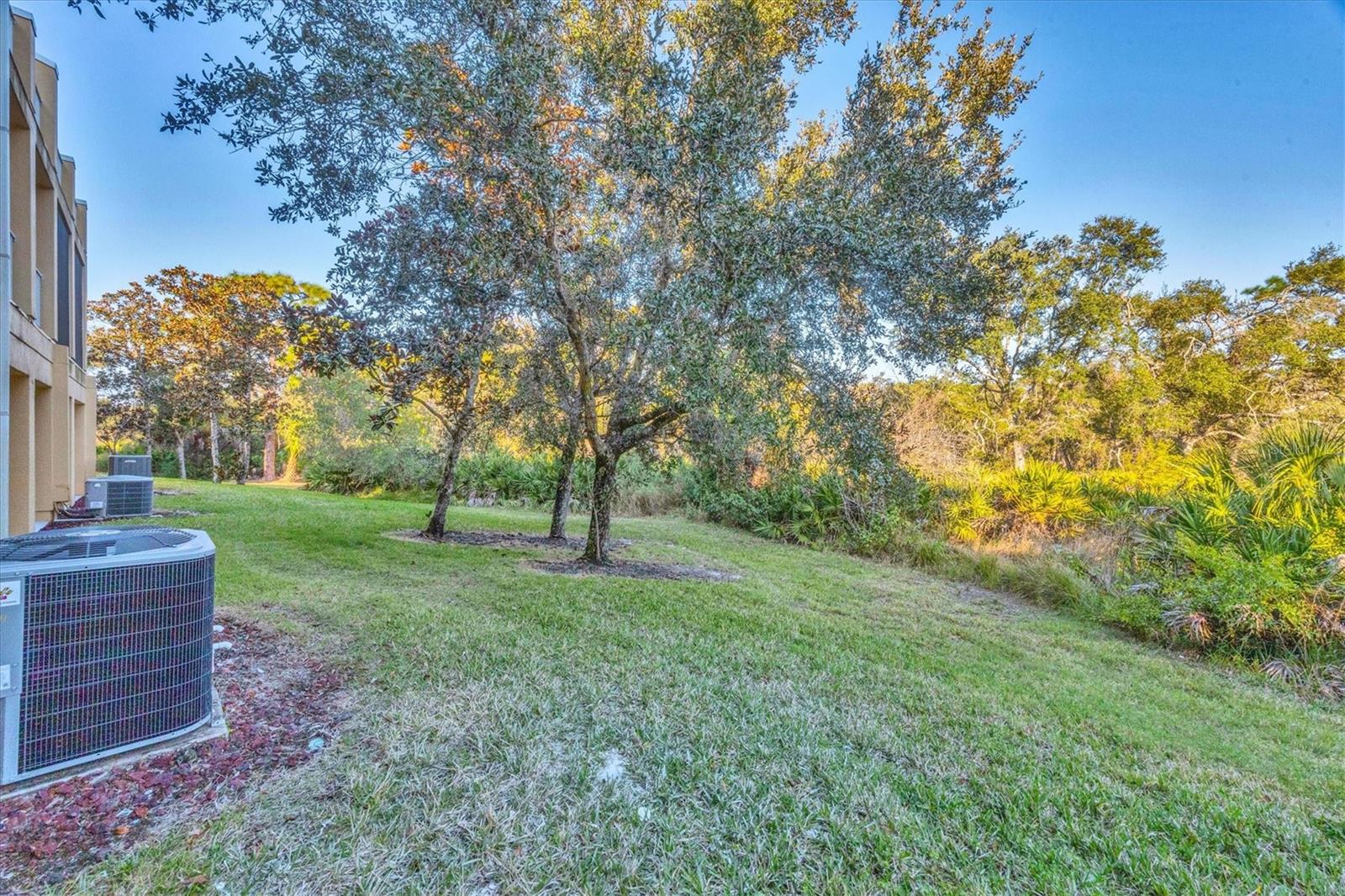 Image 34 of 40 For 8944 White Sage Loop 3204