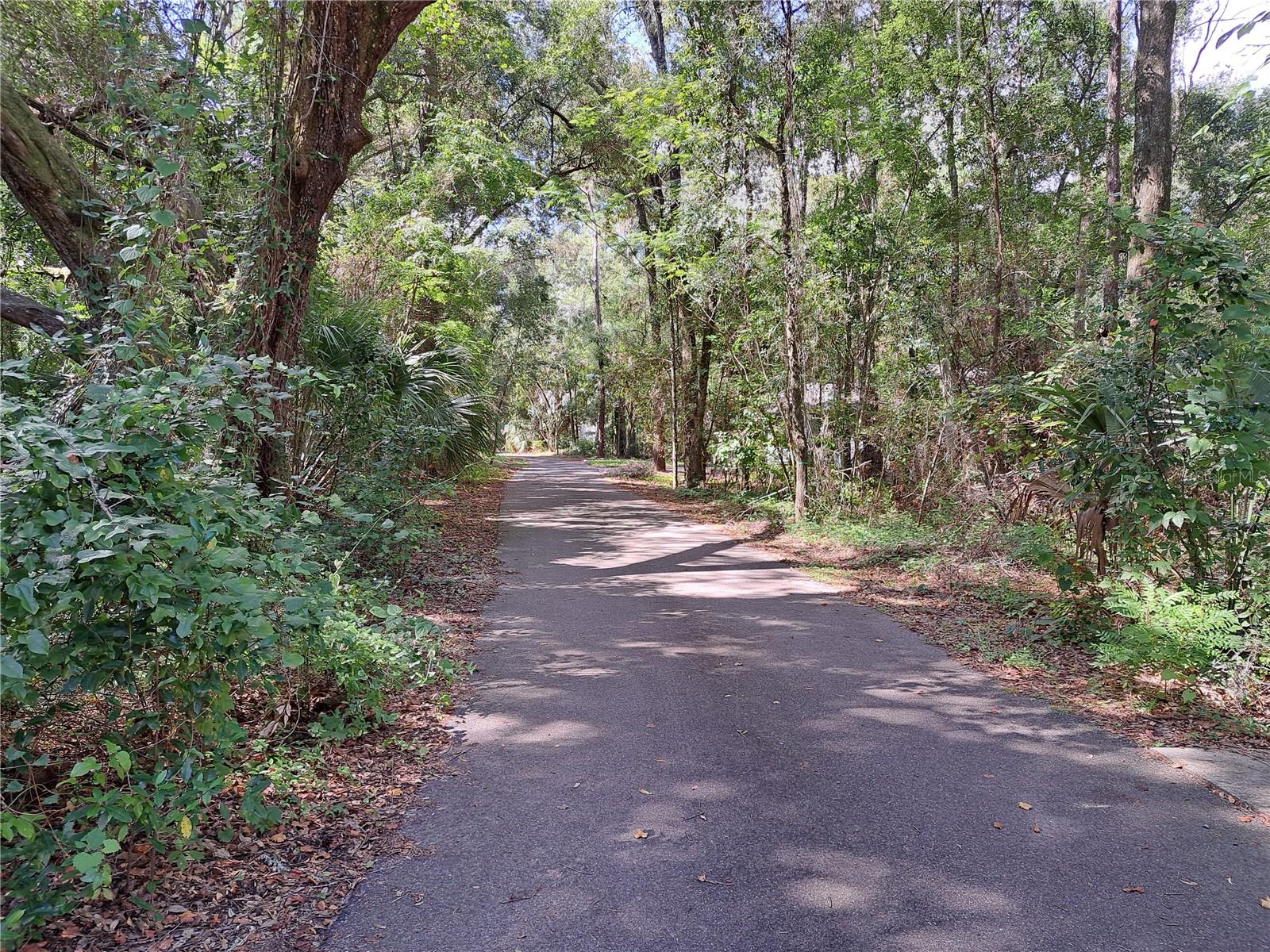 Image 5 of 6 For 2164 37th Court