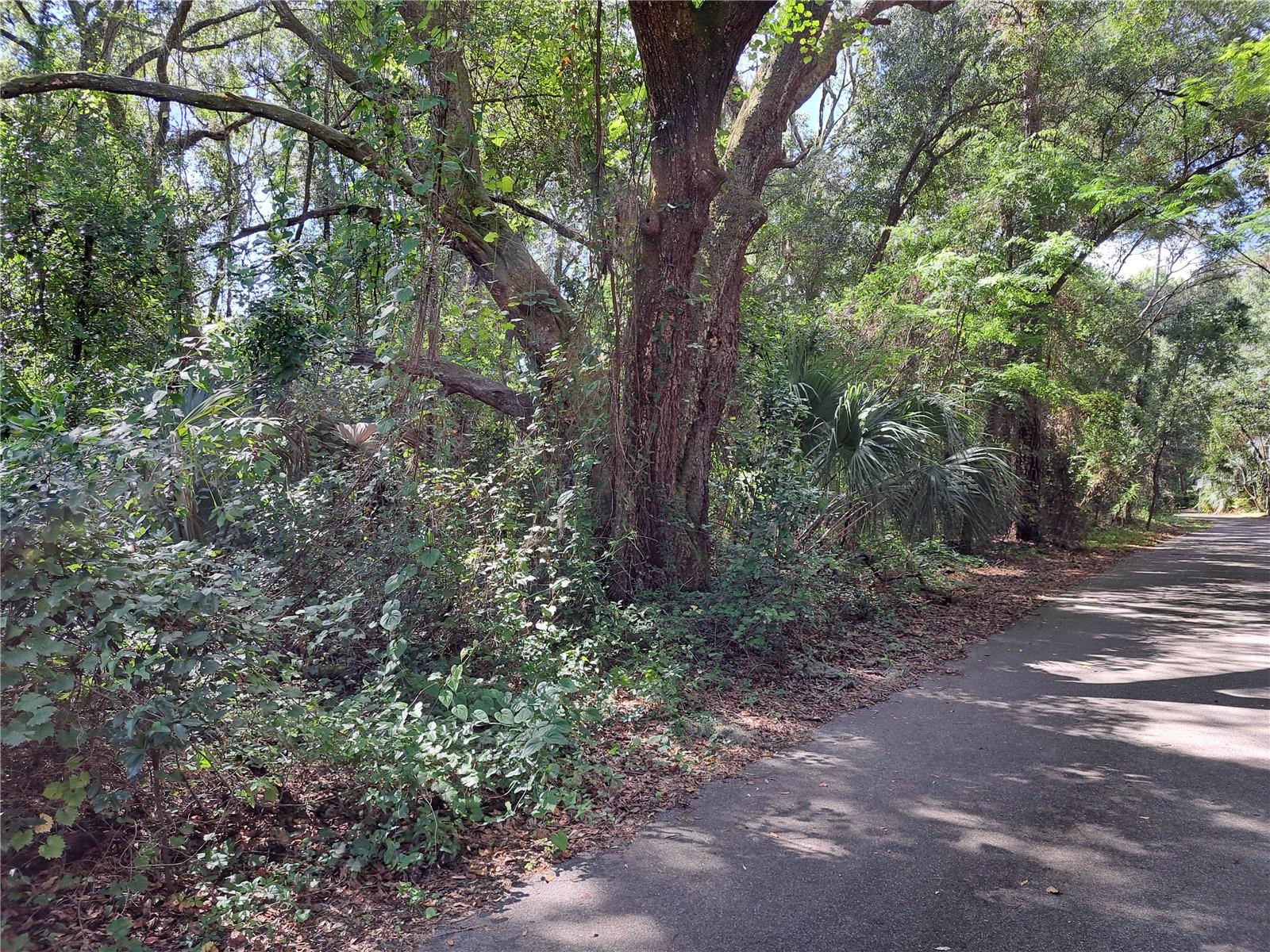 Image 6 of 6 For 2164 37th Court