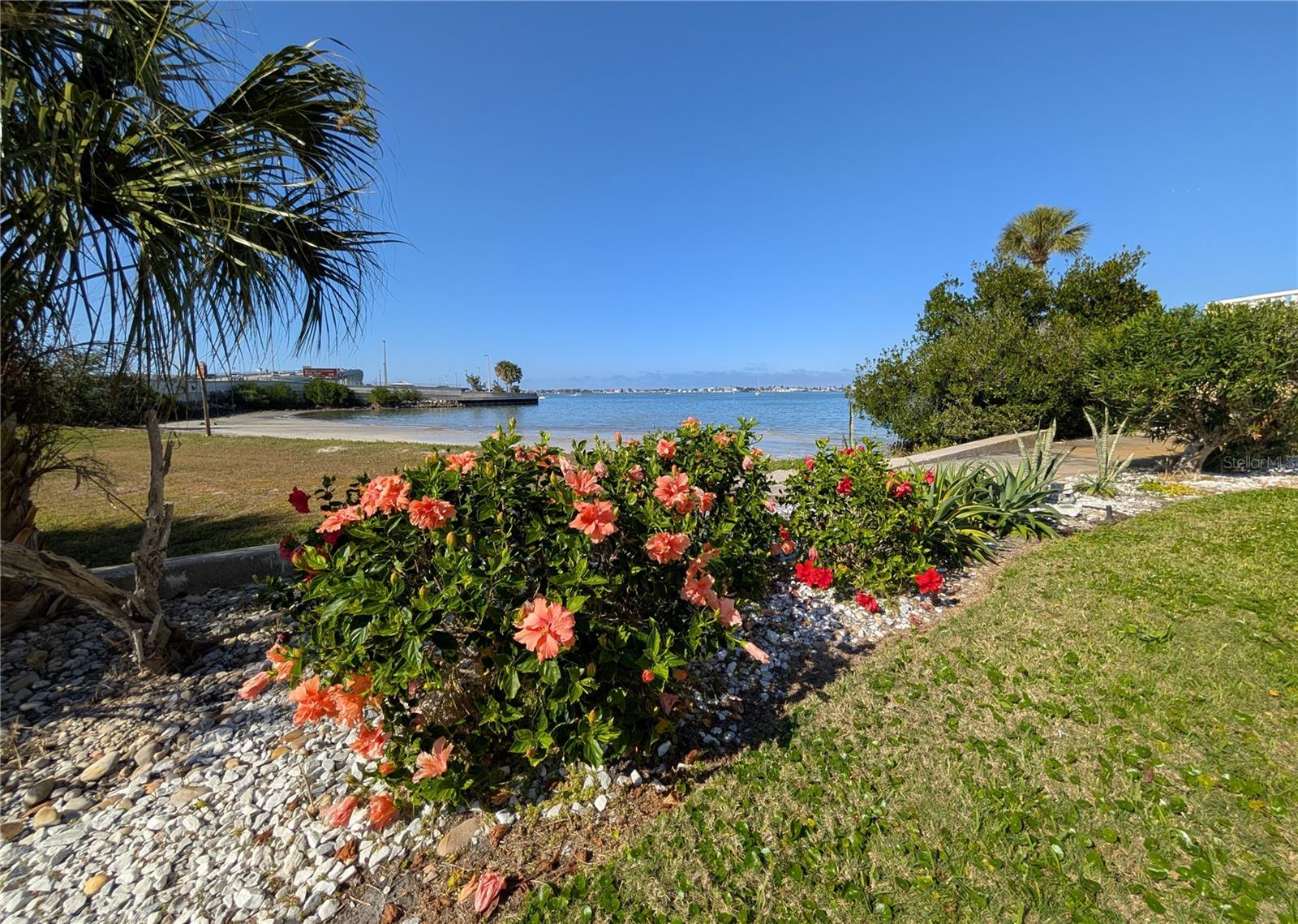 Image 18 of 22 For 100 Bluff View Drive 105c