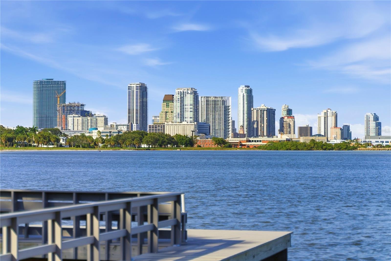 Image 28 of 39 For 377 22nd Avenue Se