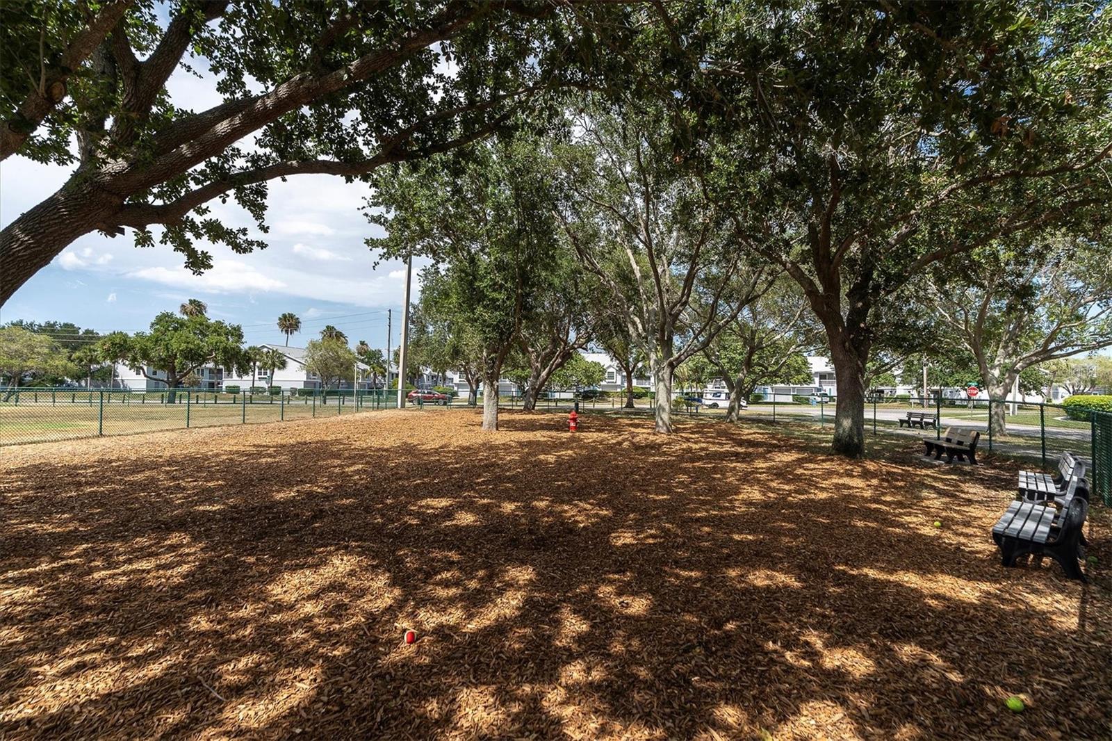 Image 39 of 42 For 173 Sun Isle Circle