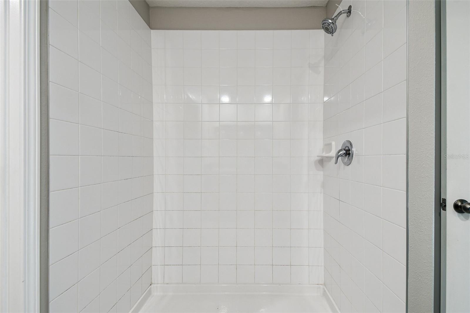 Image 57 of 98 For 5157 White Chicory Drive