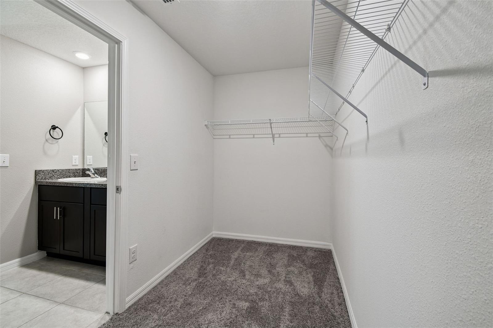 Image 58 of 98 For 5157 White Chicory Drive