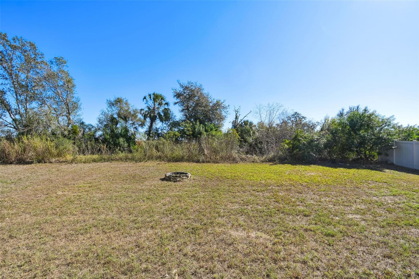 Image 68 of 98 For 5157 White Chicory Drive
