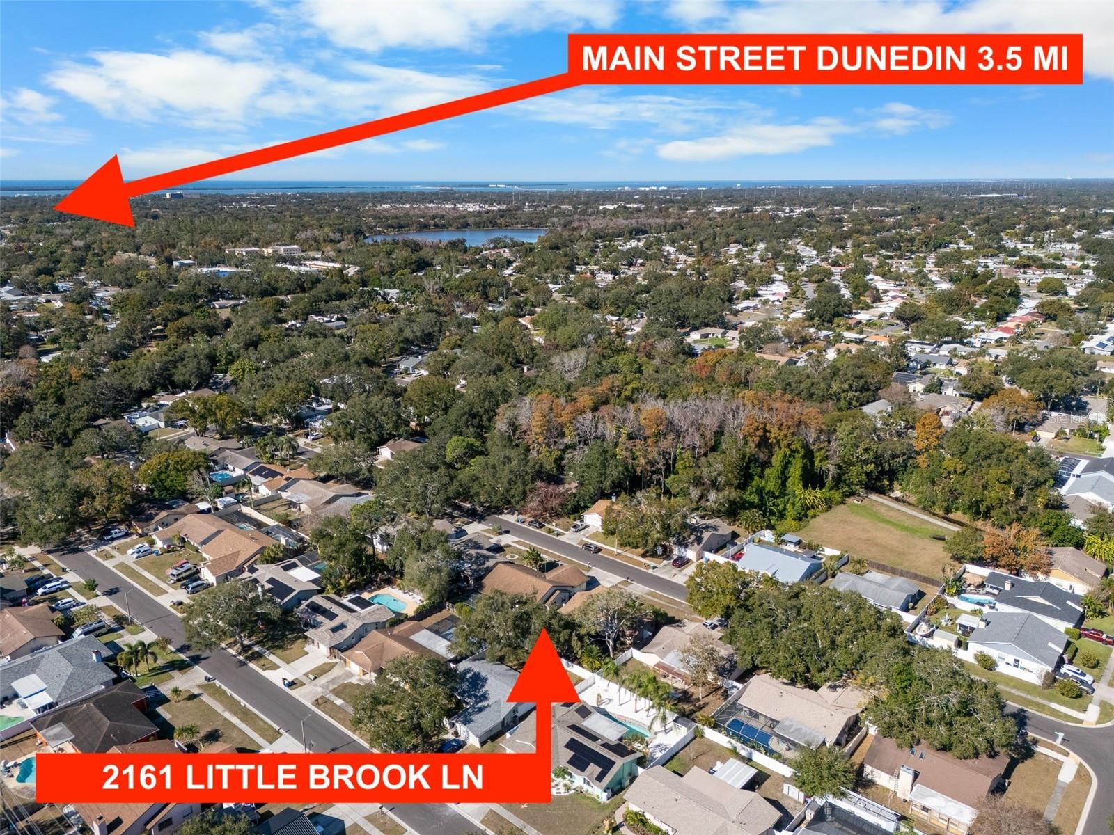 Image 11 of 52 For 2161 Little Brook Lane