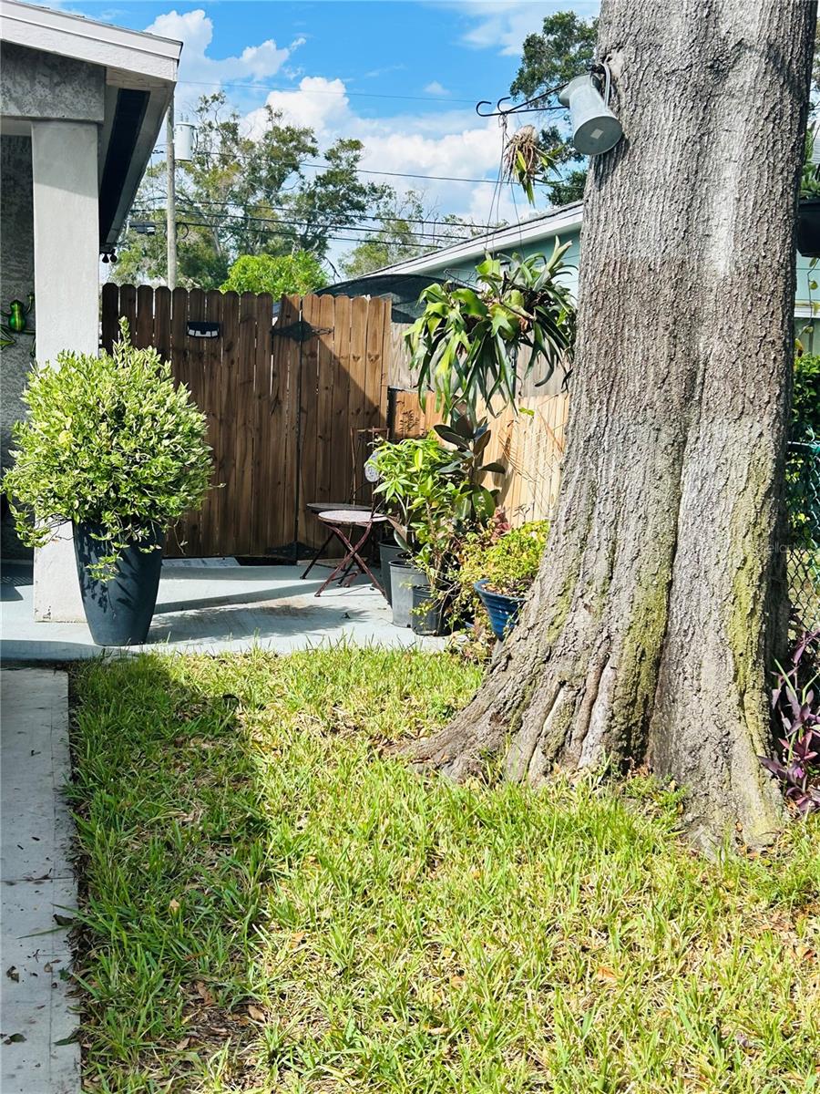 Image 5 of 30 For 4611 14th Avenue S