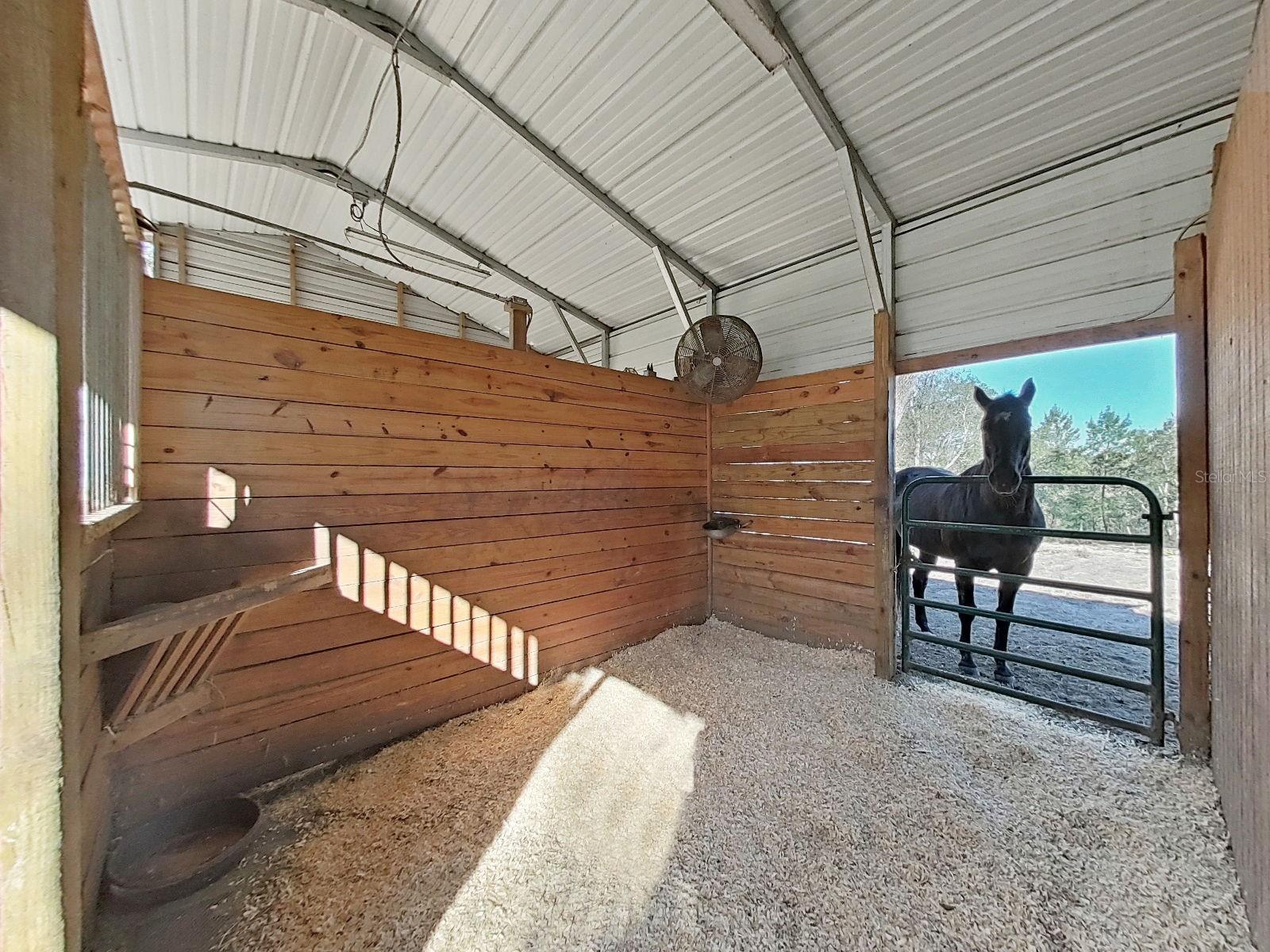 Image 13 of 49 For 13255 Treaty Road