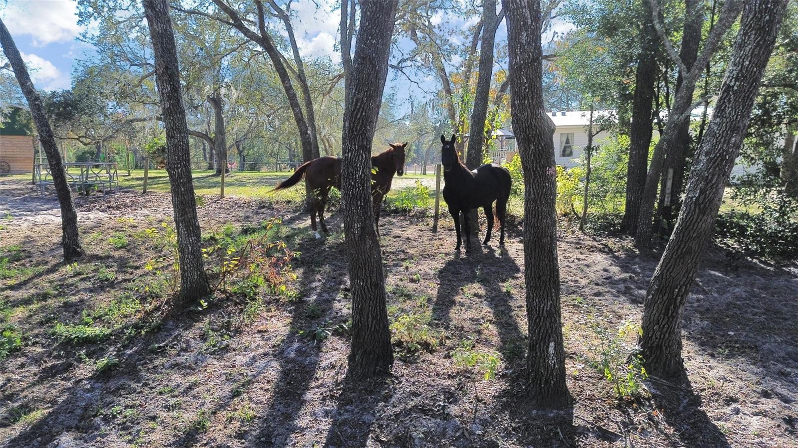 Image 15 of 49 For 13255 Treaty Road