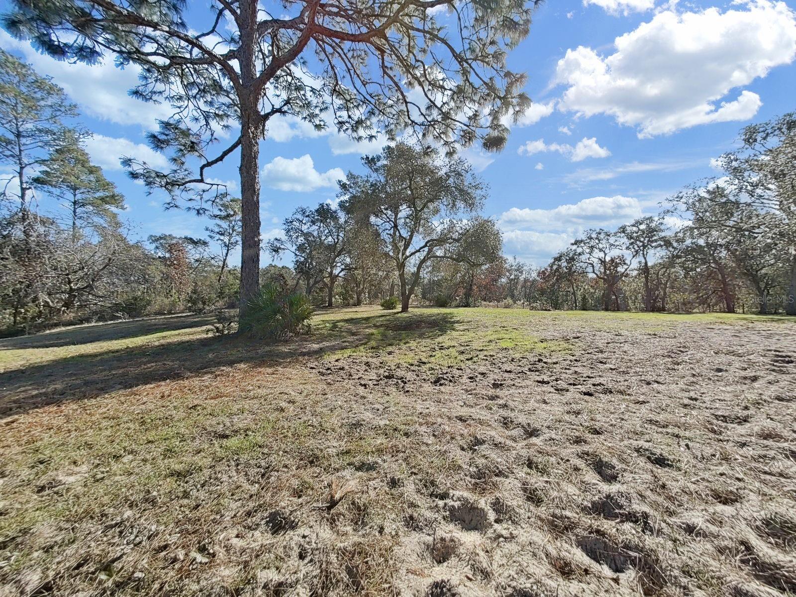 Image 46 of 49 For 13255 Treaty Road