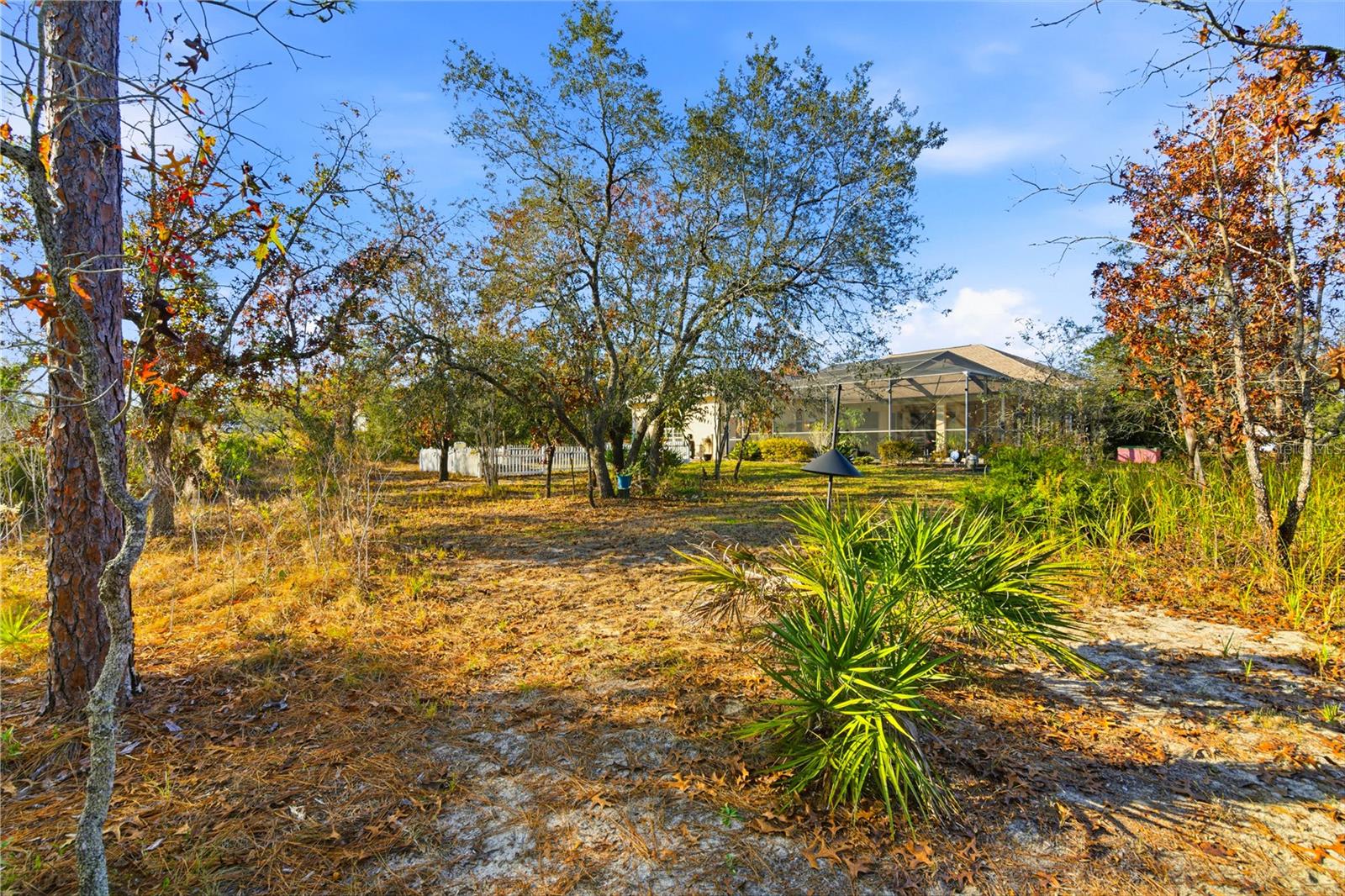 Image 9 of 75 For 13024 Meinert Avenue