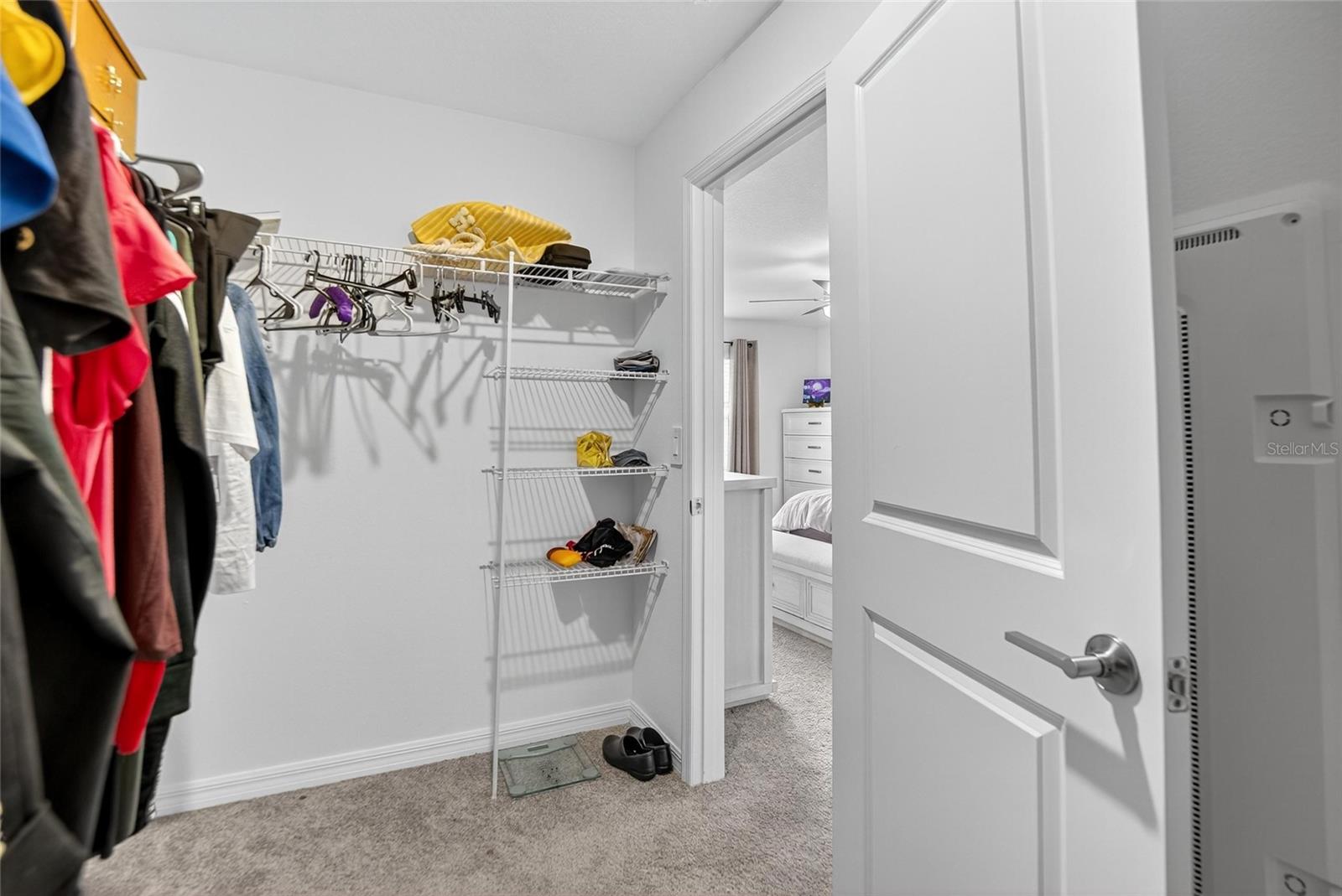 Image 29 of 44 For 10317 Trumpet Honeysuckle Way