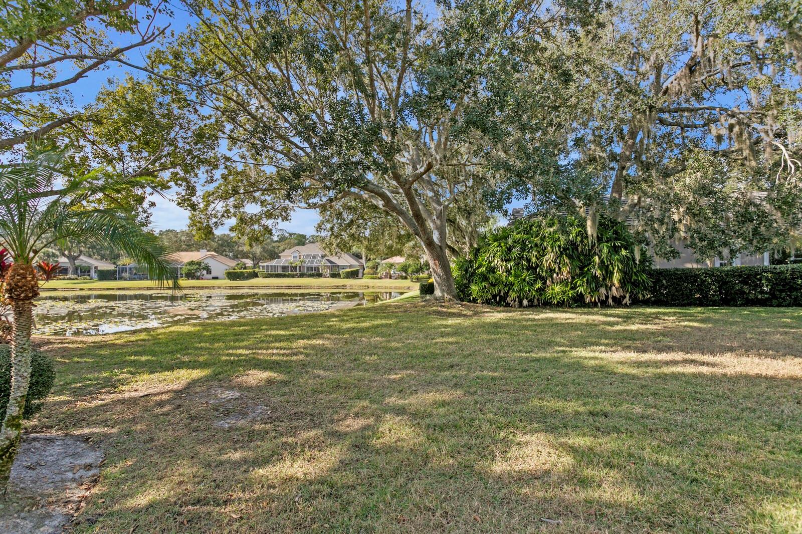 Image 47 of 61 For 6434 Renwick Circle