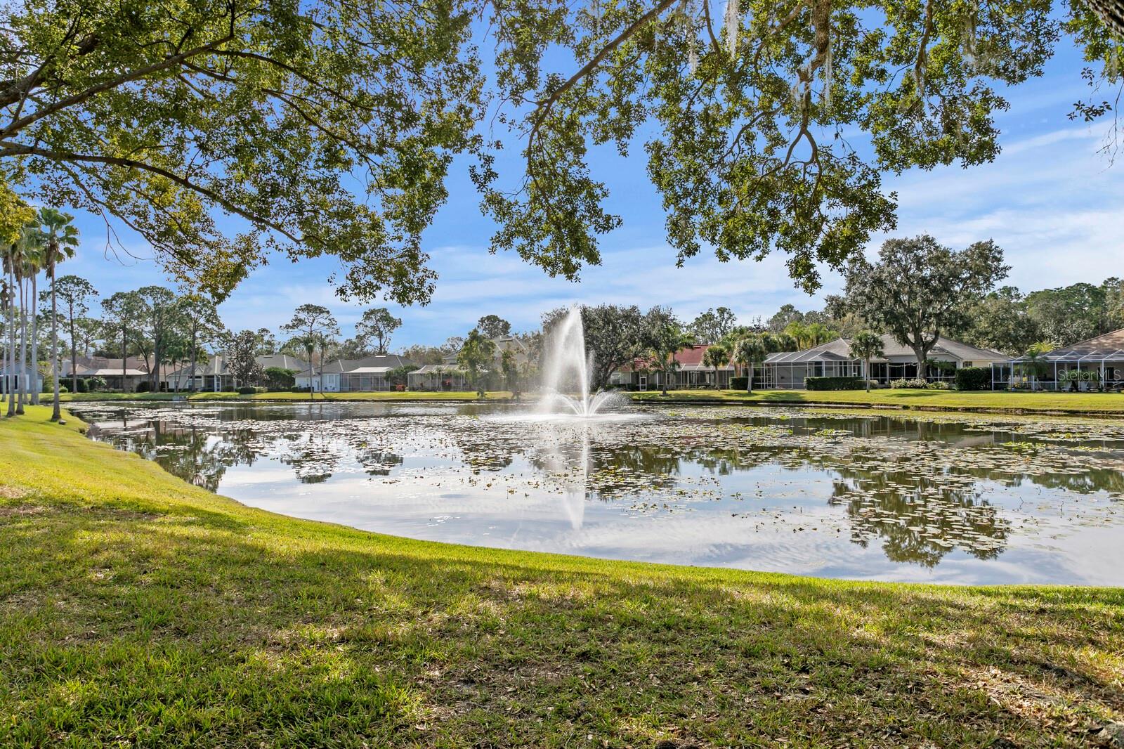 Image 49 of 61 For 6434 Renwick Circle