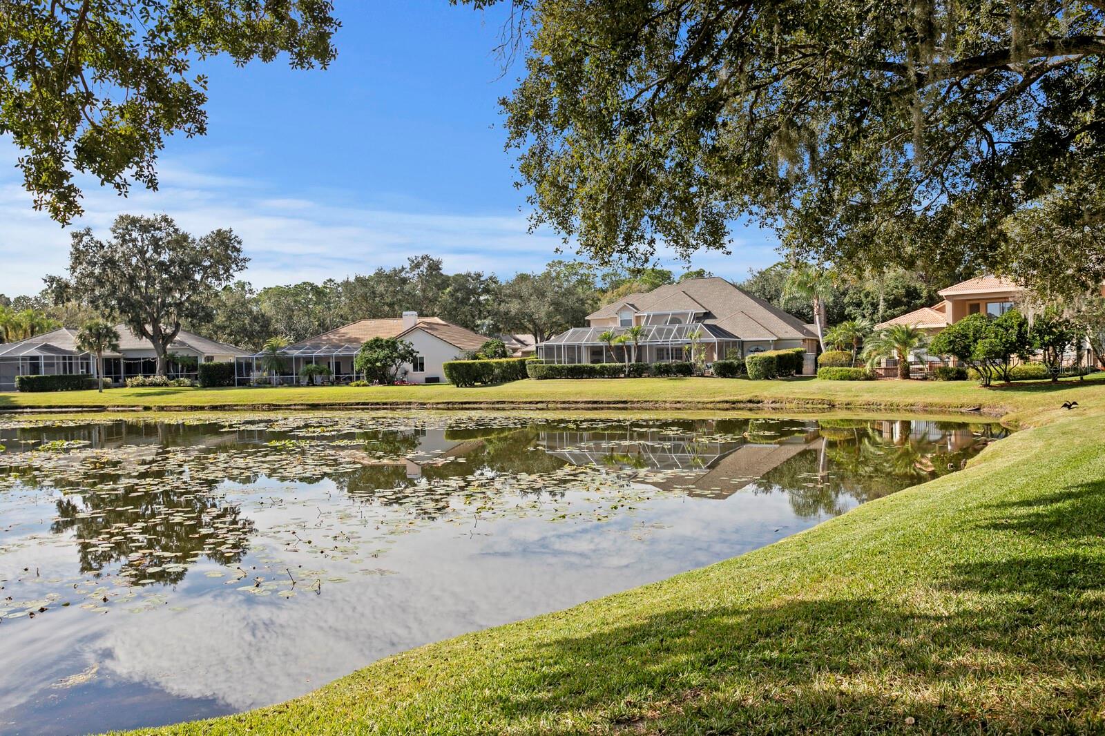 Image 50 of 61 For 6434 Renwick Circle