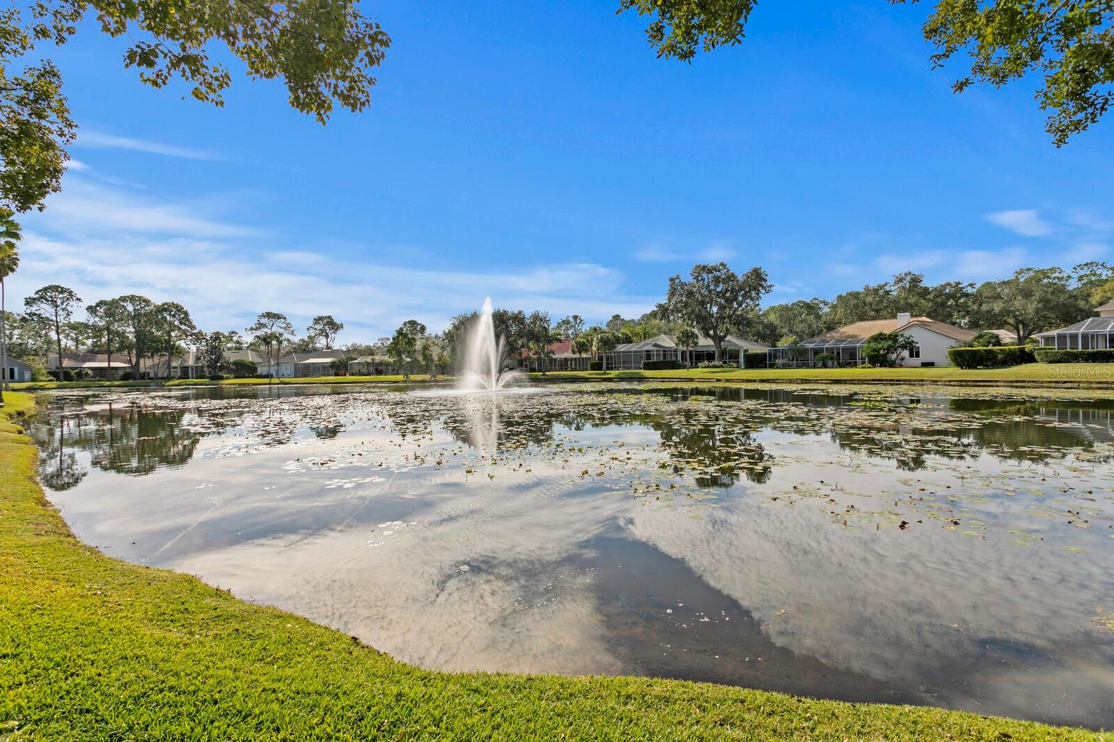 Image 52 of 61 For 6434 Renwick Circle