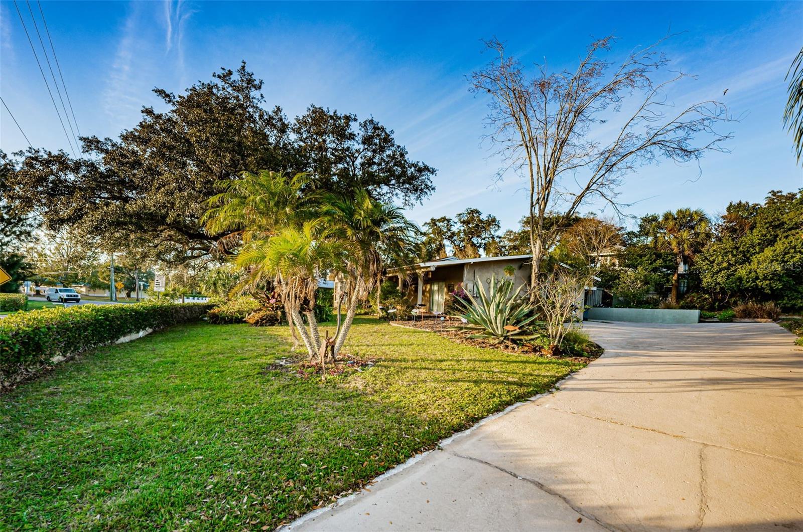 Image 7 of 34 For 330 Spring Boulevard