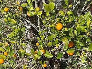 Image 38 of 40 For 6041 13th Avenue