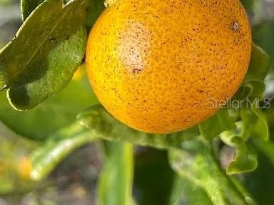 Image 39 of 40 For 6041 13th Avenue