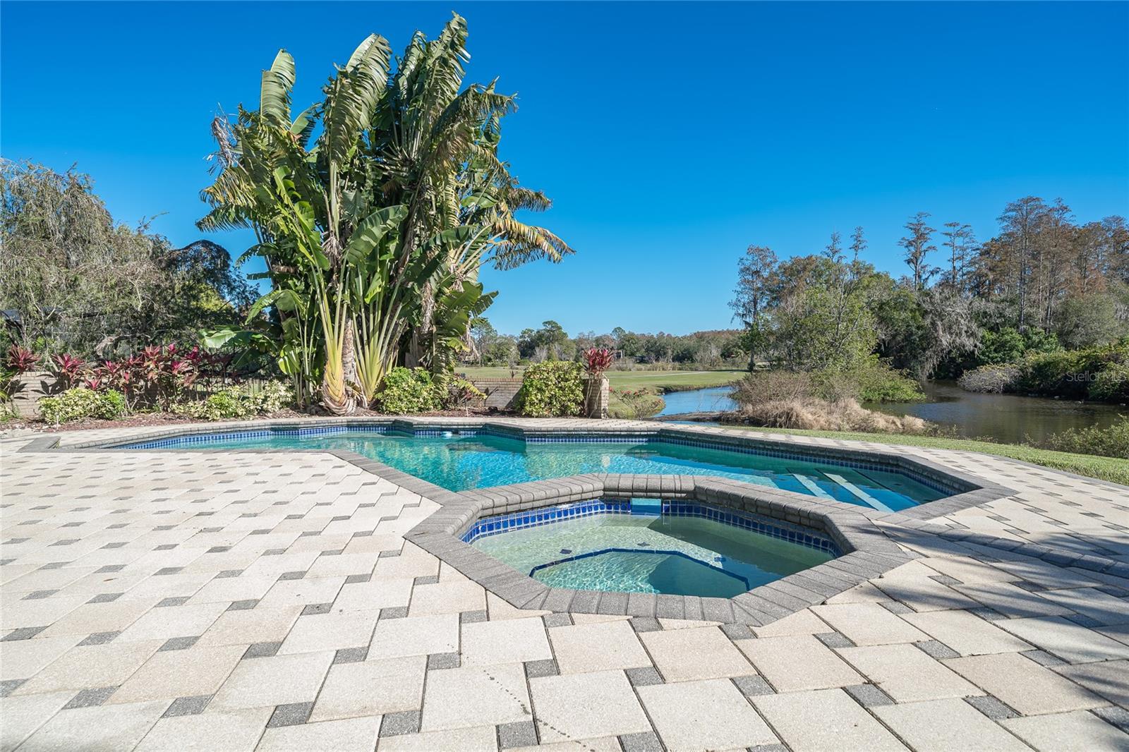 Image 64 of 88 For 4302 Carrollwood Village Drive