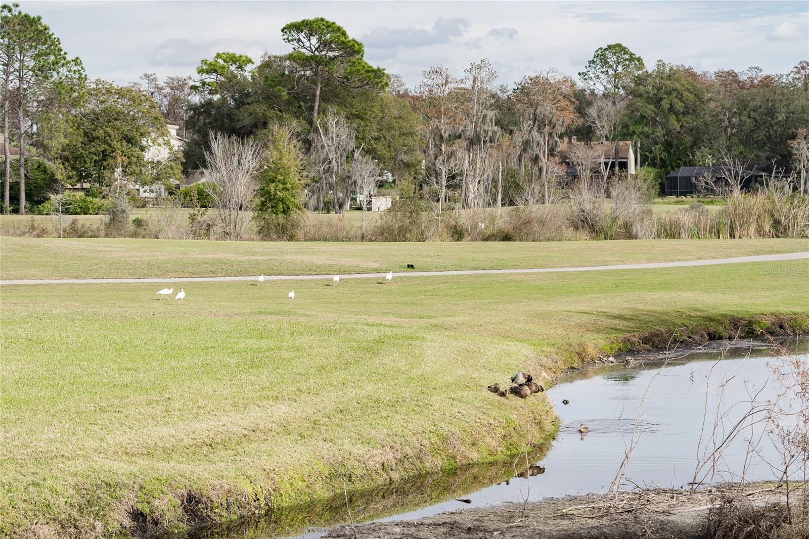 Image 69 of 88 For 4302 Carrollwood Village Drive