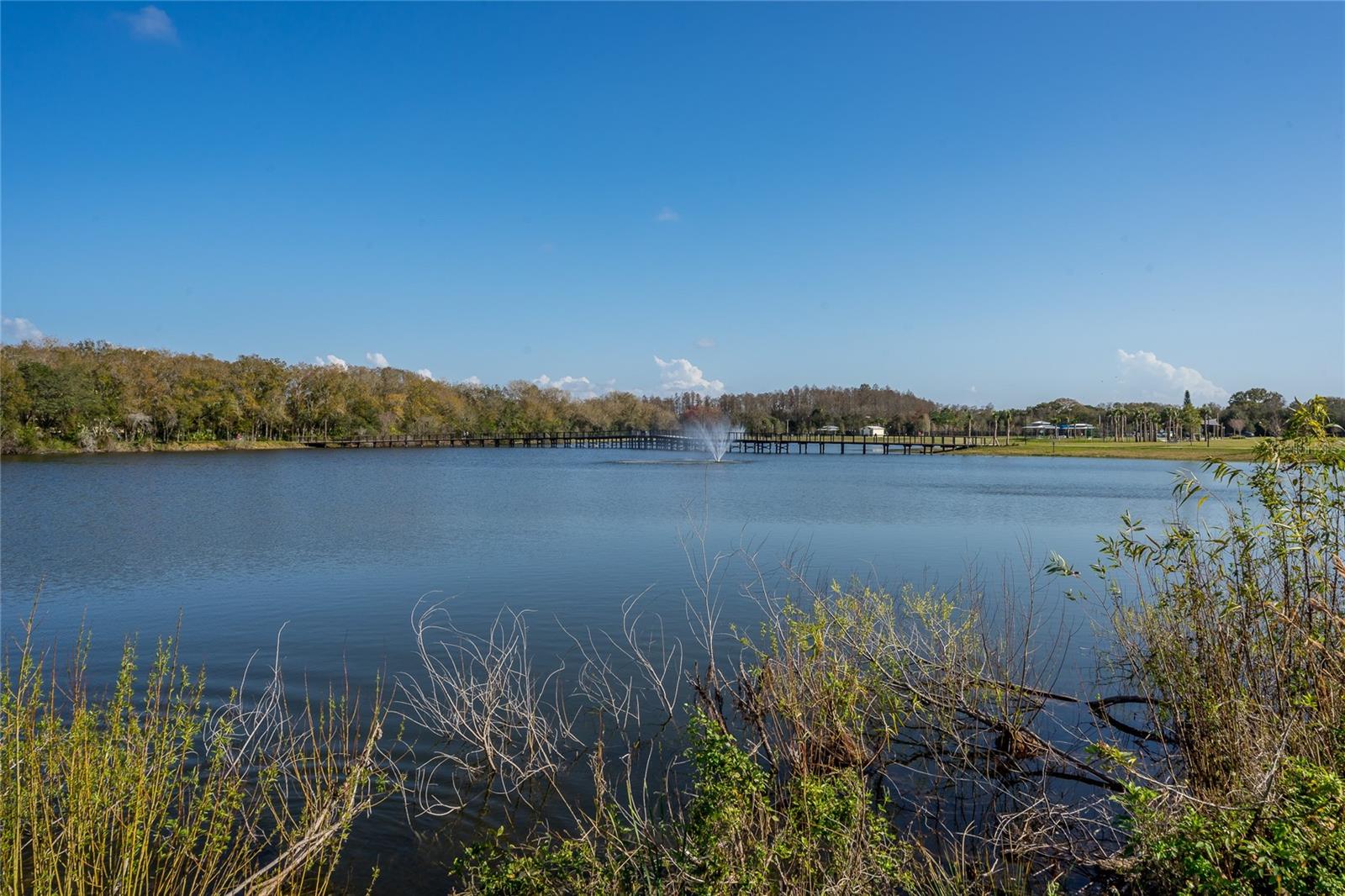 Image 77 of 88 For 4302 Carrollwood Village Drive