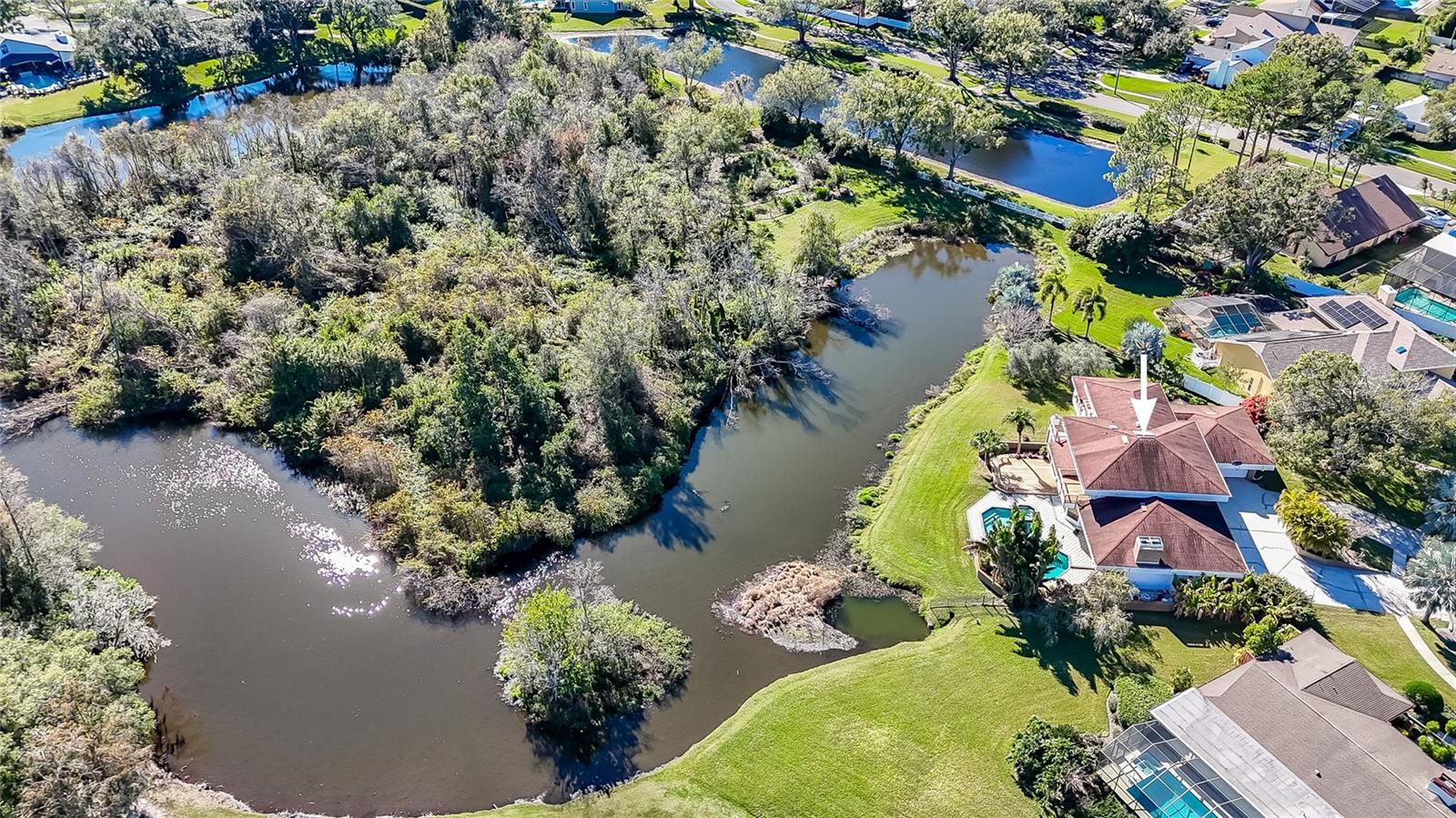 Image 82 of 88 For 4302 Carrollwood Village Drive